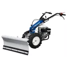 Staub - Lame bull frontale