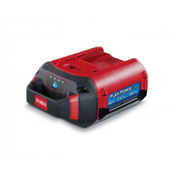 Toro - Batterie 60V 2,5 AH