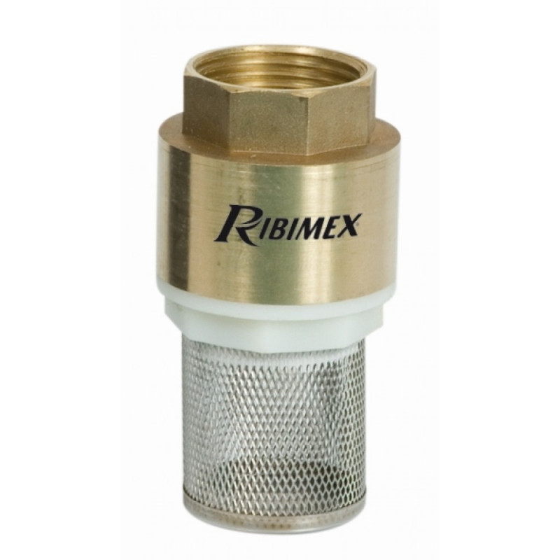Clapet anti retour Ribimex – DN25/1"