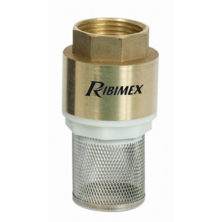 Clapet anti retour Ribimex – DN25/1"