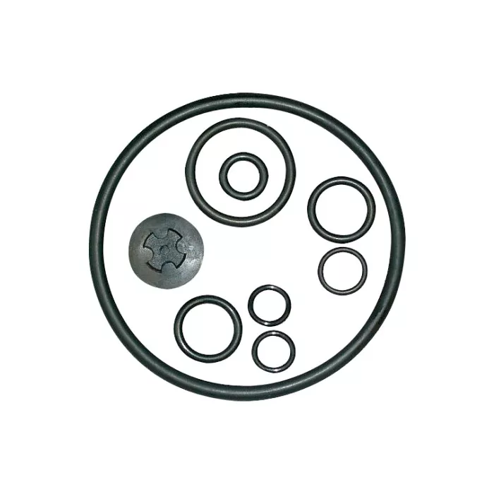 Pochette de joints Viton Solo 456/457/456 PRO