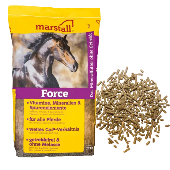 Complément alimentaire pour chevaux