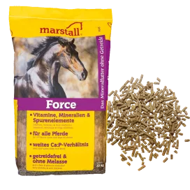 Complément alimentaire pour chevaux