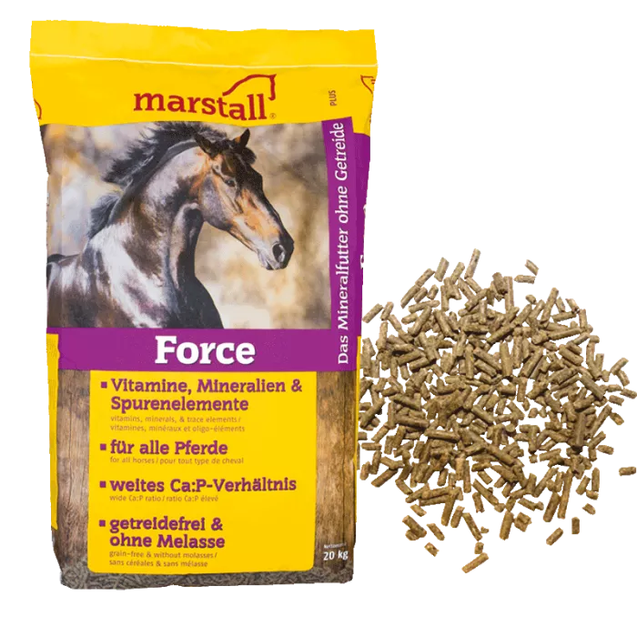 Complément alimentaire pour chevaux