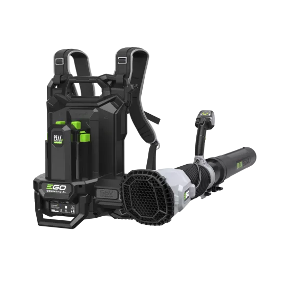 Souffleur à dos double batterie