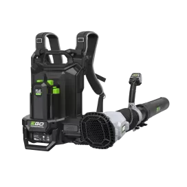 Souffleur à dos double batterie