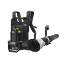 Souffleur à dos double batterie