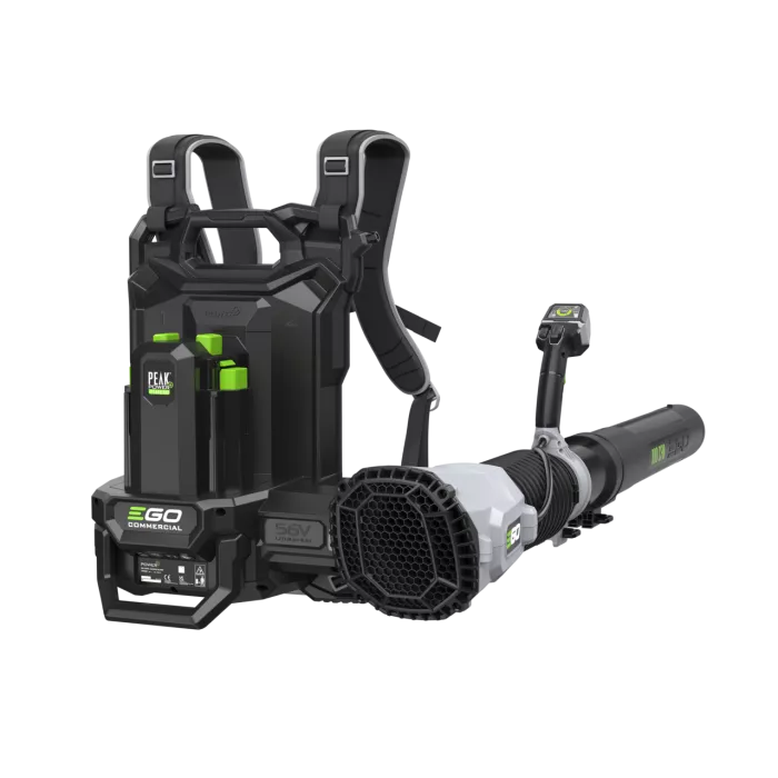 Souffleur à dos double batterie