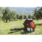 Souffleur à dos Thermique