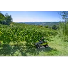 Débroussailleuse autoportée