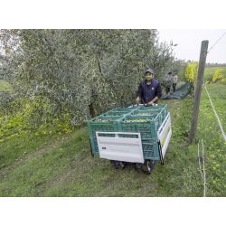 Transporteur à chenille