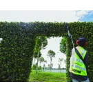 Echo HCAS236ESLW - Taille-haies sur perche