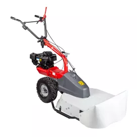Eurosystems P70 (Briggs & Stratton) - Pack tondeuse débroussailleuse