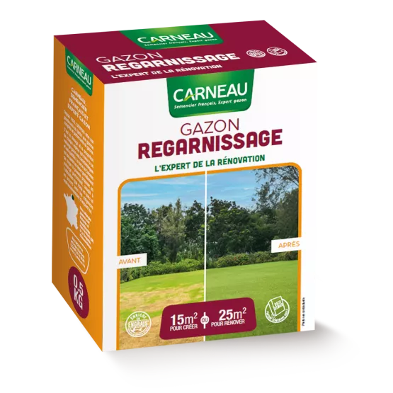 Carneau - Gazon Regarnissage (500gr)