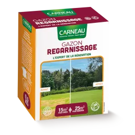 Carneau - Gazon Regarnissage (500gr)