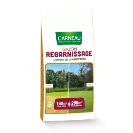Carneau - Gazon Regarnissage (5kg) Carneau