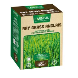 Carneau - Ray Grass anglais (500gr) Carneau