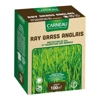 Carneau - Ray Grass anglais (500gr) Carneau
