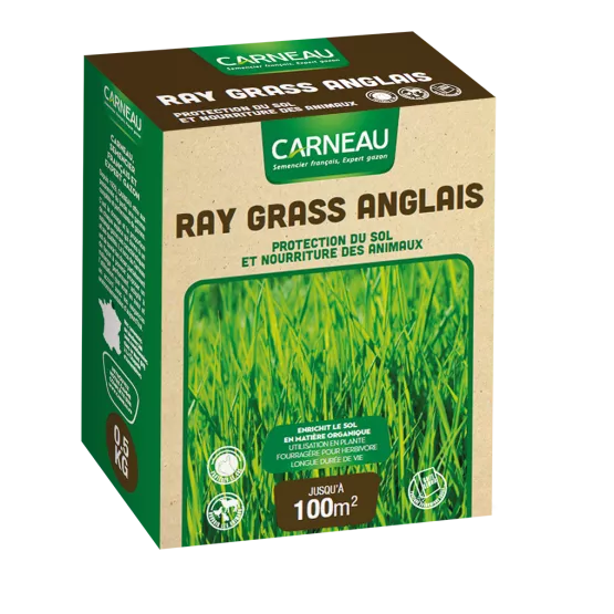 Carneau - Ray Grass anglais (500gr) Carneau