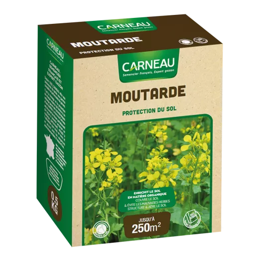 Carneau - Moutarde (500gr) Carneau