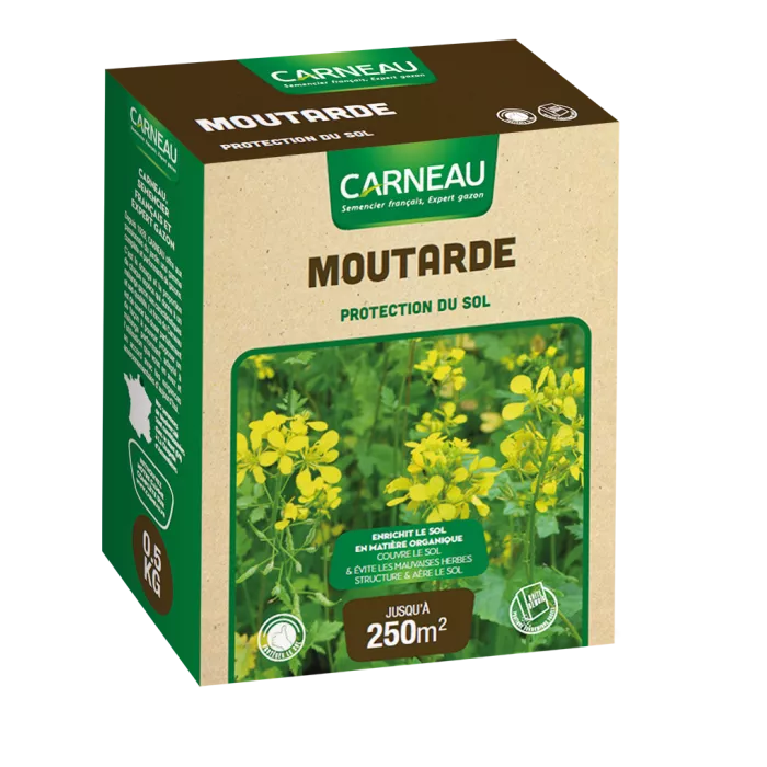 Carneau - Moutarde (500gr) Carneau
