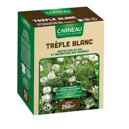Carneau - Trefle blanc (500gr) Carneau