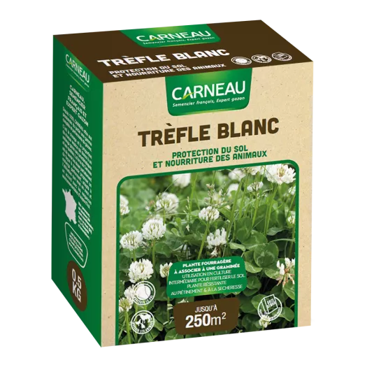 Carneau - Trefle blanc (500gr) Carneau