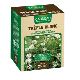 Carneau - Trefle blanc (500gr) Carneau