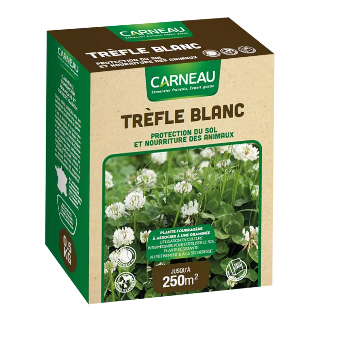 Carneau - Trefle blanc (500gr) Carneau