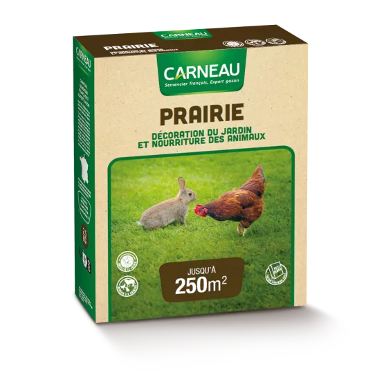 Carneau - Prairie (2.5kg) Carneau