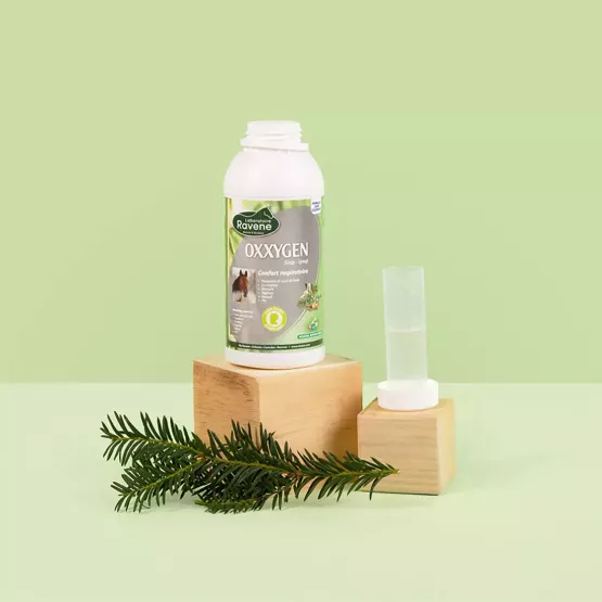 Ravene - Sirop respiratoire OXXYGEN - 500 ml Ravene