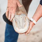 Ravene - Argile pour sabots PEDIPLASTE 700g Ravene