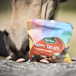 Ravene - Friandises HAPPY TREATS DUO - 2kg Ravene