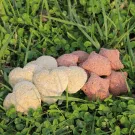 Ravene - Friandises HAPPY TREATS DUO - 2kg Ravene