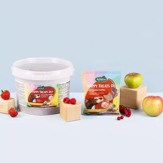 Ravene - Friandises HAPPY TREATS DUO - 2kg Ravene