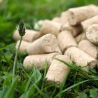 Ravene - Friandises HAPPY SWEET Pomme 800g Ravene
