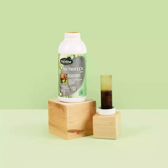 Ravene - Soin des articulations NUTRIFLEX - 500 ml Ravene