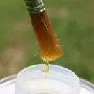 Ravene - Huile pour sabots PEDIFLEX 500ml Ravene