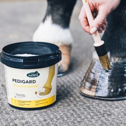 Ravene - Onguent blond pour sabots PEDIGARD 1L