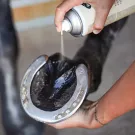 Ravene - Soin réparateur pour Fourchettes PEDICADE 500ml Ravene