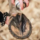 Ravene - Soin réparateur pour Fourchettes PEDICADE 500ml Ravene