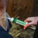 Ravene - Anti-stress BECOOL Flash seringue 30ml Ravene