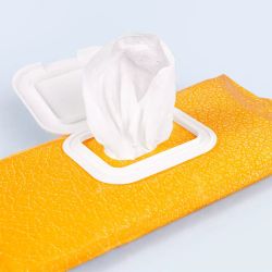 Ravene - Lingettes pour cuir CHARLEE'S LEATHER Easy Clean - 25 Lingettes
