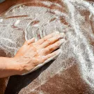 Ravene - Shampoing protecteur Emouchine Protec 500ml Ravene