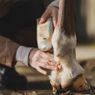 Ravene - Crème de soin DERMAPROTEC 250ml Ravene