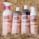 Ravene - Shampoing EASY SHINE 500ml Ravene