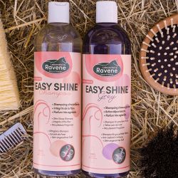 Ravene - Shampoing EASY SHINE 500ml