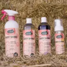 Ravene - Soin lustrant et démêlant EASY SHINE INTENSE 500ml Ravene