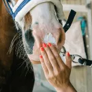 Ravene - Crème solaire SUN PROTEC 150ml Ravene