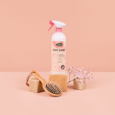 Ravene - Soin lustrant et démêlant EASY SHINE 750ml Ravene